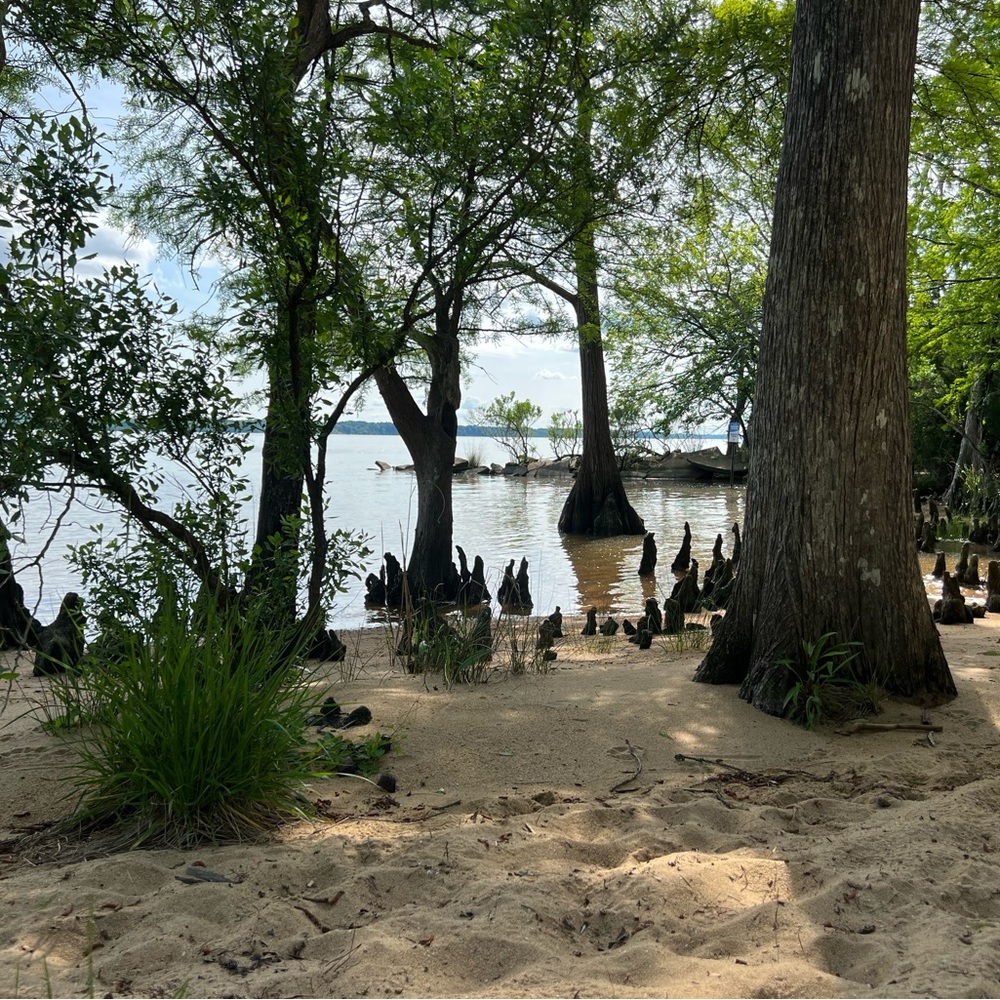 Hi. Welcome to Posh Fam ❤️💙